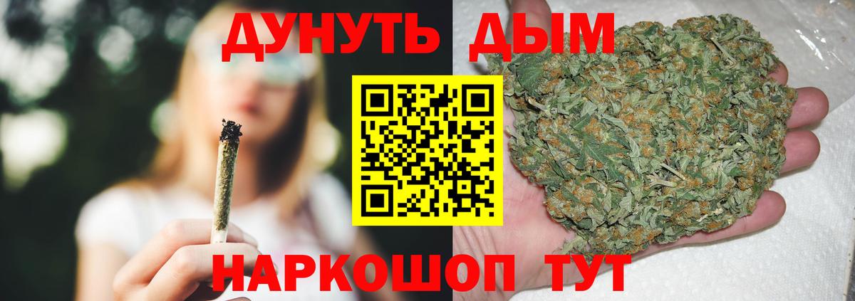 Каннабис SATIVA & INDICA Кингисепп